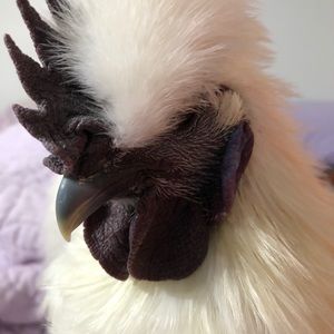 Meet your Posher, Beverly